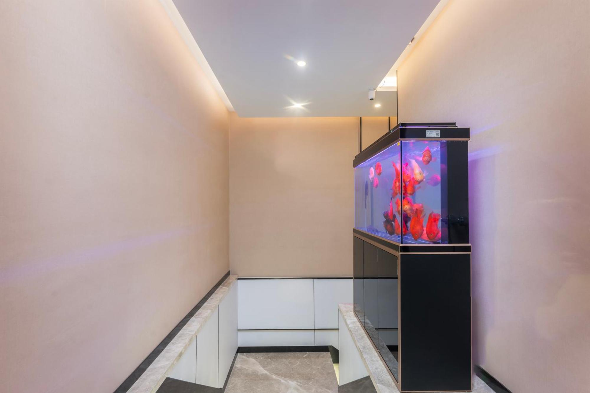 Manhua Hotel-provides Free Shuttle Service To Disneyland 3*
